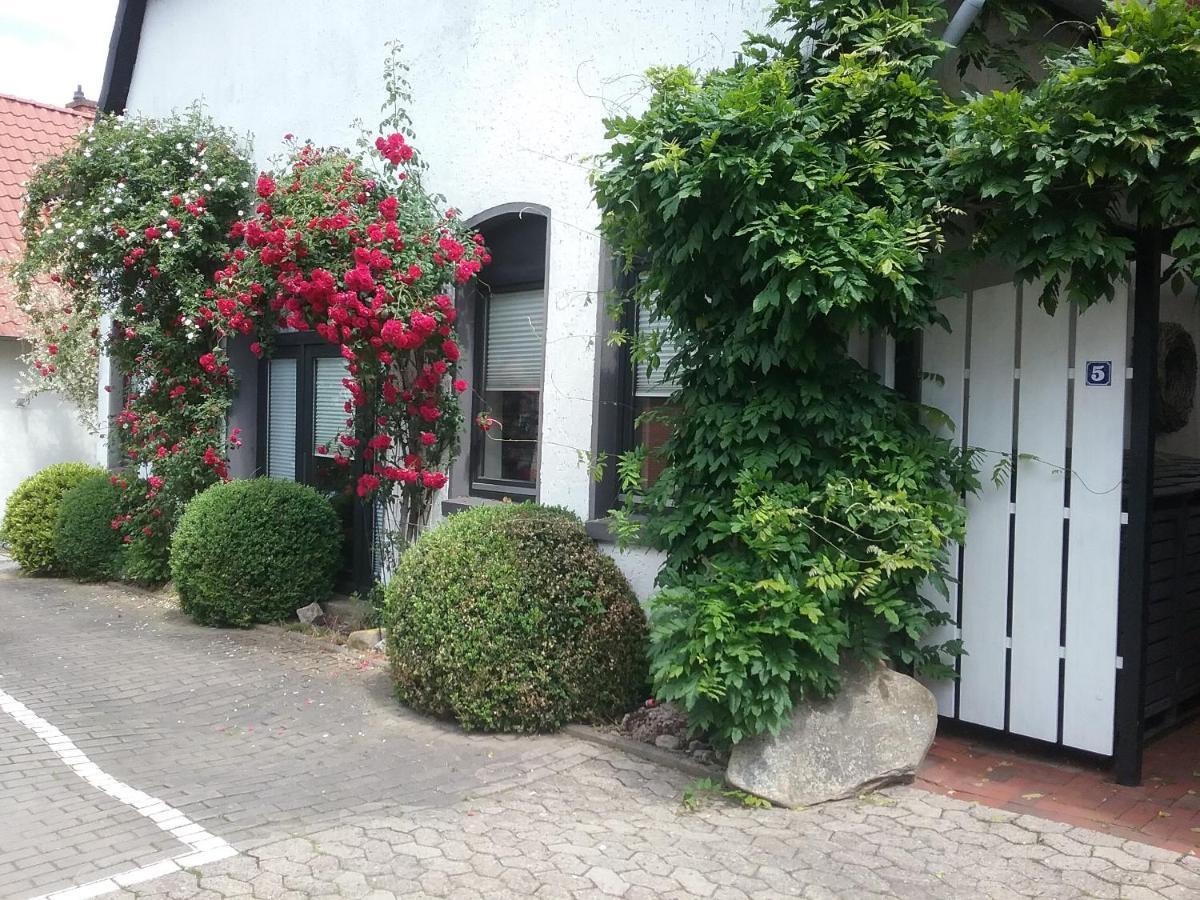 Altstadt-Apartment Petershagen Exterior photo
